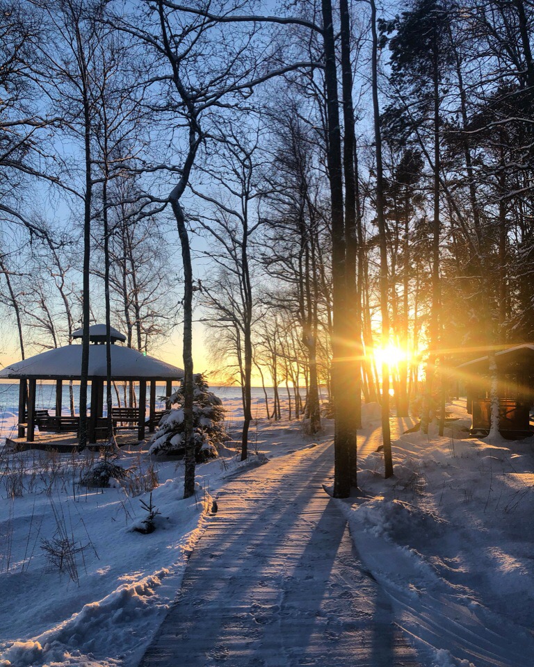 Картинка баннера