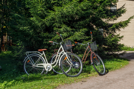 Прокат сезонного инвентаря