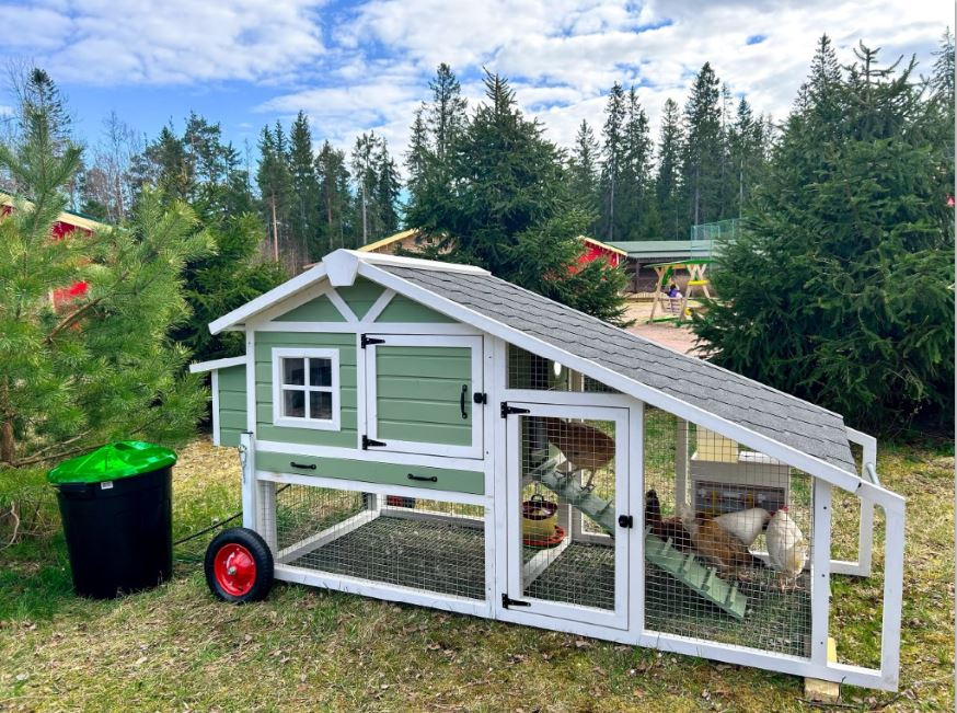 Домик для курочек
