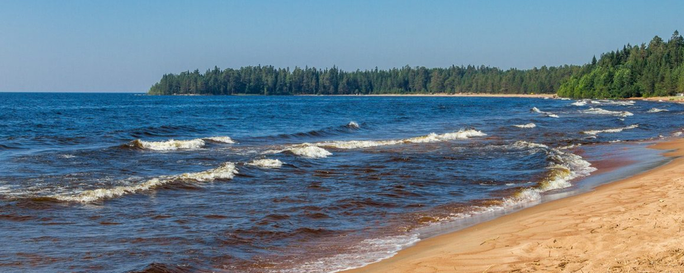 Для любознательных