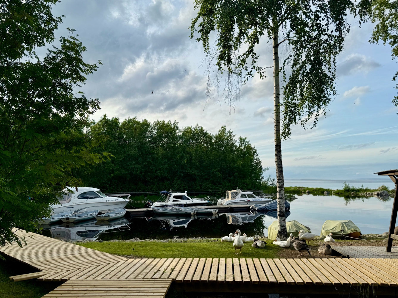 Для любознательных