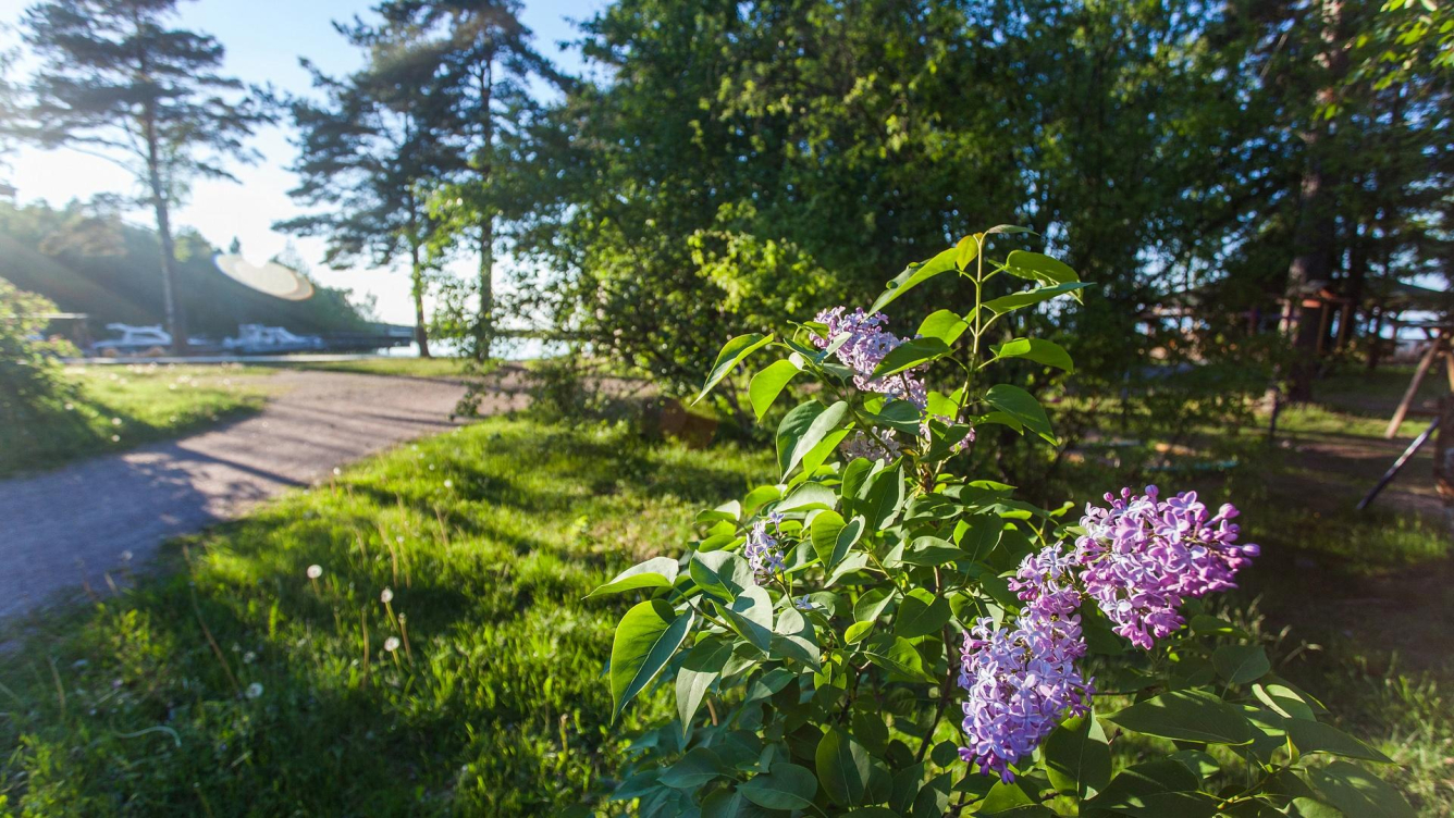 Май - за скидкой прилетай!
